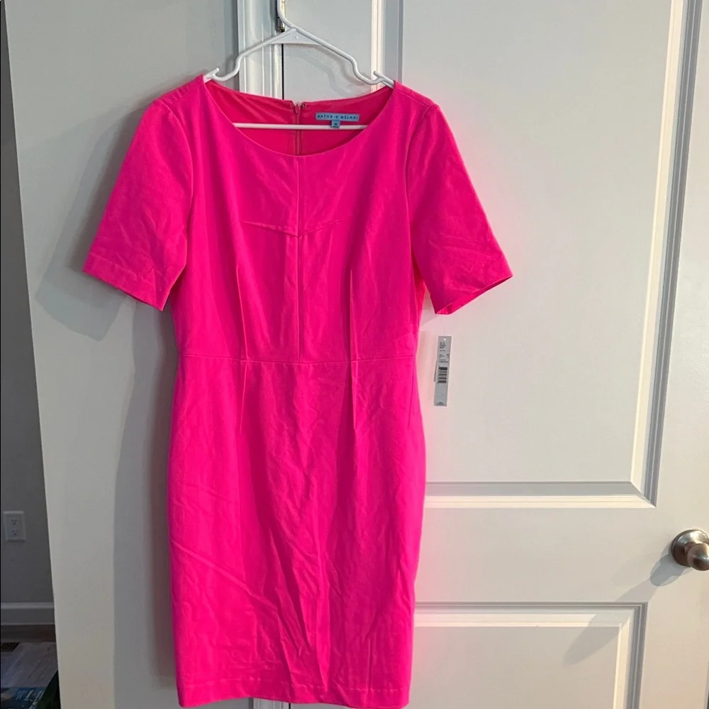 NWT ANTONIO MELANI Vibrant Pink Mini Dress - Picture 1 of 6